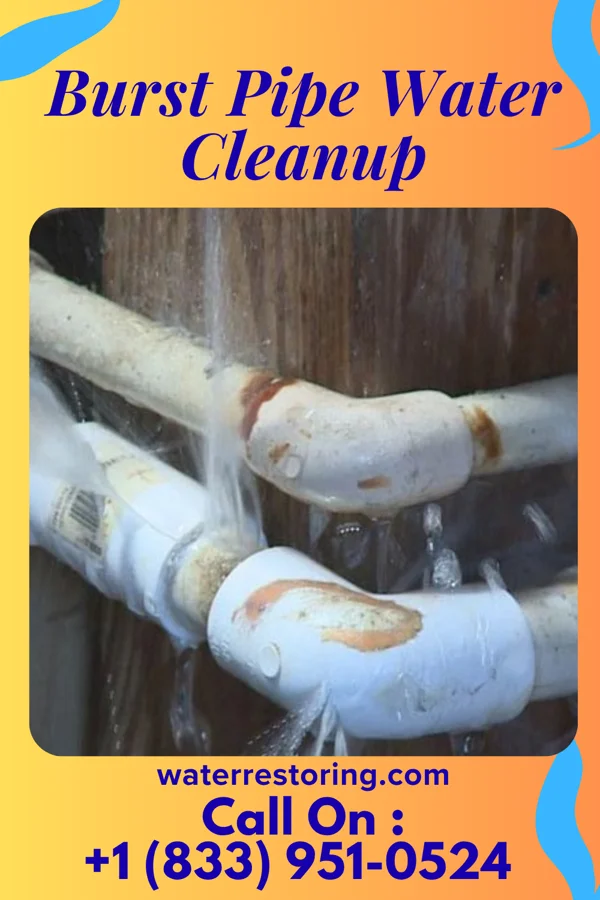 Burst Pipe Water Cleanup in West Hamlin, WV