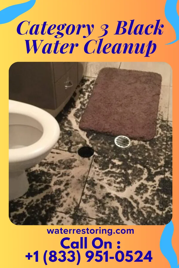 Category 3 Black Water Cleanup in West Hamlin, WV