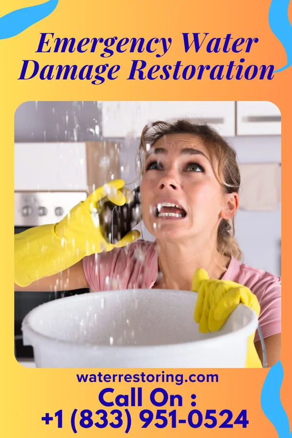 Emergency Water Damage Restoration in West Hamlin, WV
