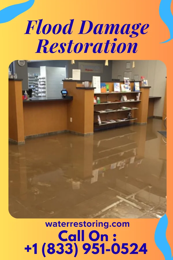 Flood Damage Restoration in West Hamlin, WV