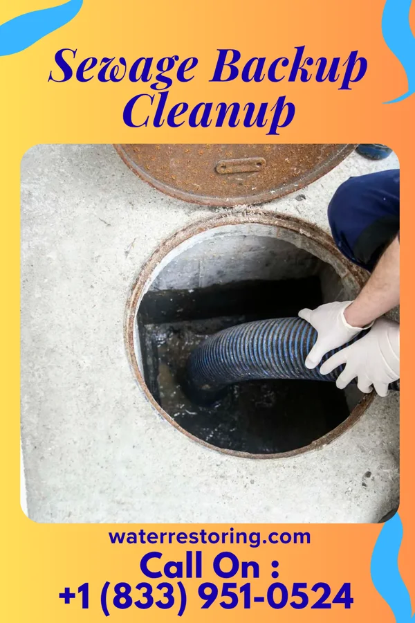 Sewage Backup Cleanup in West Hamlin, WV