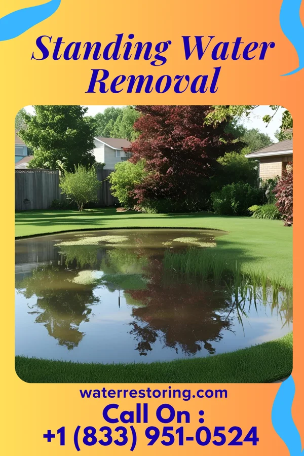 Standing Water Removal in West Hamlin, WV